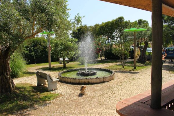 Casa de Repouso Casal das Rosas2 - Booking-Senior.com