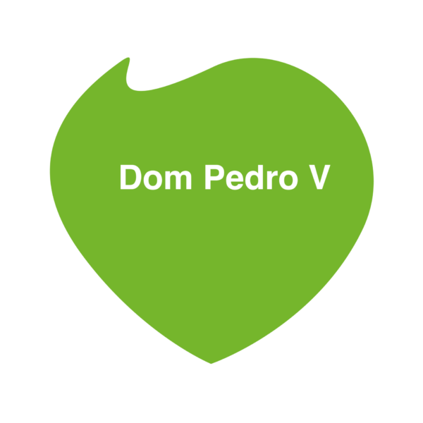Dom Pedro V 1 - Booking-Senior.com