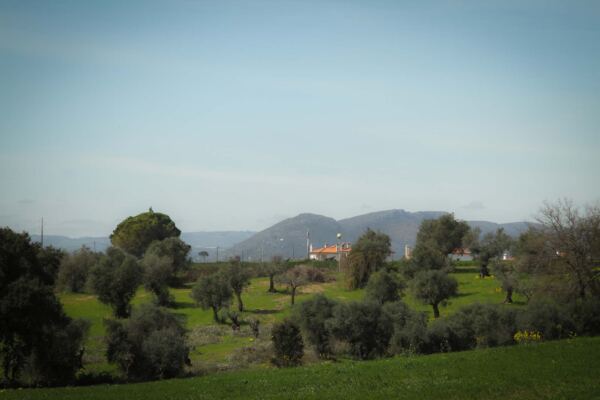 IMG 3742 - Booking-Senior.com