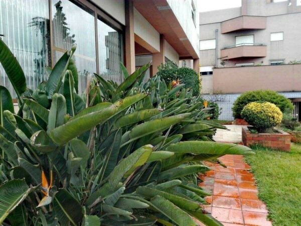 Residencia Senior do Sardao - Booking-Senior.com