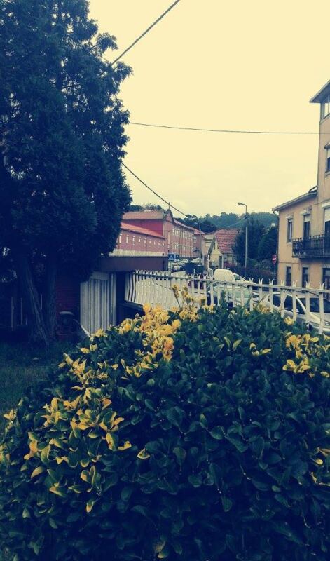 Residência Sénior do Sardão Jardim