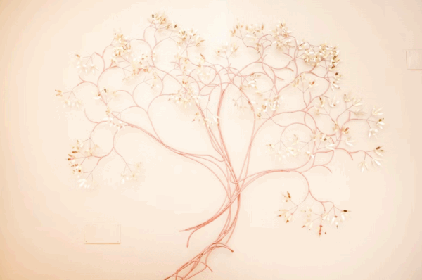 Captura de ecra 2025 09 19 110929 - Booking-Senior.com