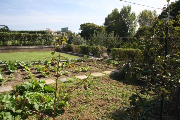 O Afecto Casa de Repouso Horta - Booking-Senior.com