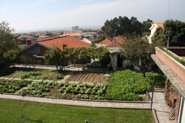 O Afecto Casa de Repouso Horta1 - Booking-Senior.com