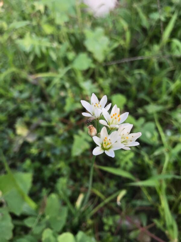 Prosas D Outono - Booking-Senior.com