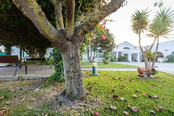 Residencia Villa Maryah Grupo ALIF29 - Booking-Senior.com