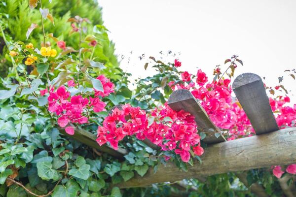 Residencia Villa Maryah Grupo ALIF30 - Booking-Senior.com