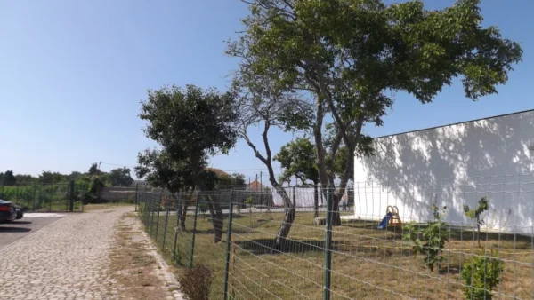 Minha Ternura Aldoar Grupo Minha Ternura13 - Booking-Senior.com