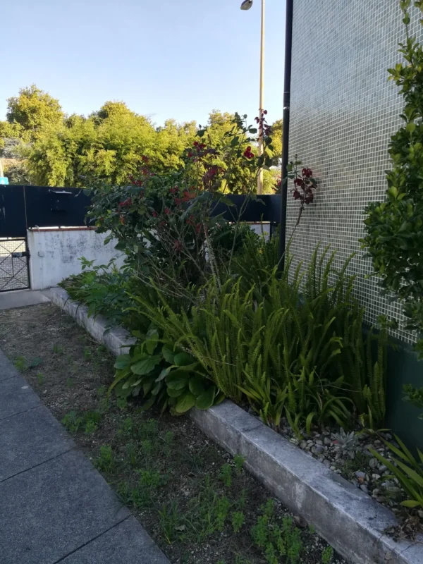 Minha Ternura Aldoar Grupo Minha Ternura6 - Booking-Senior.com