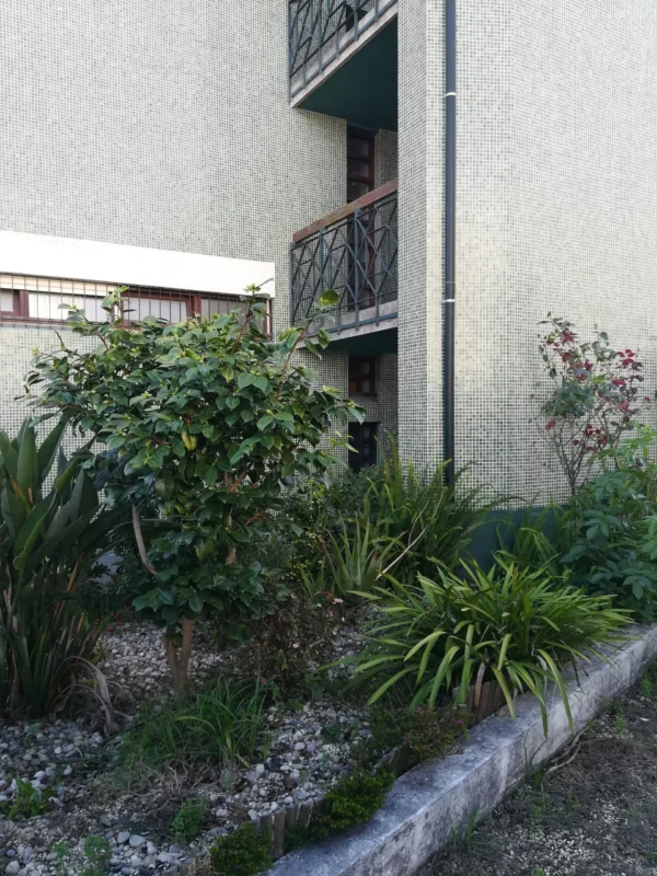 Minha Ternura Aldoar Grupo Minha Ternura7 - Booking-Senior.com