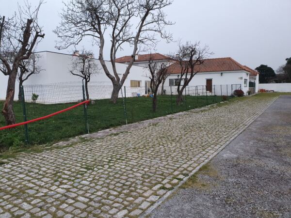 Minha Ternura2 - Booking-Senior.com