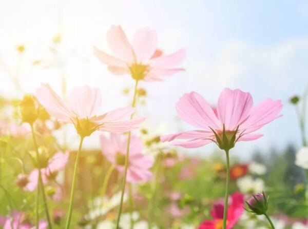 Casa de Repouso Val da Rosa 1 - Booking-Senior.com