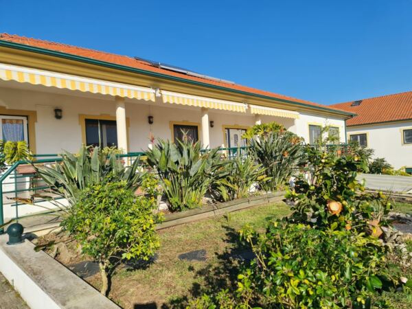 Lar de Idosos Brilhar do Sol Espaços Verdes