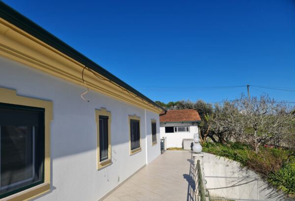 Lar de Idosos Brilhar do Sol Quartos Partilhados Arvores de Fruto