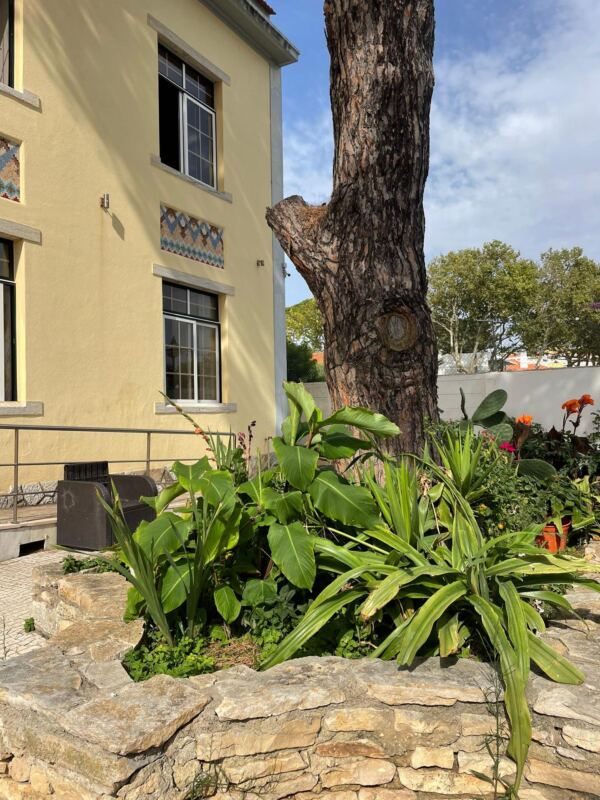 Casa de Repouso Nossa Senhora das Neves Arvores