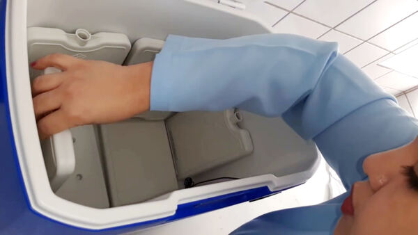 caixa termica de vacina Primeplas - Booking-Senior.com