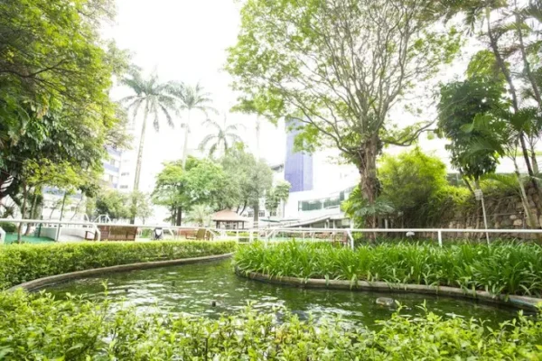 Albert Einstein jardim