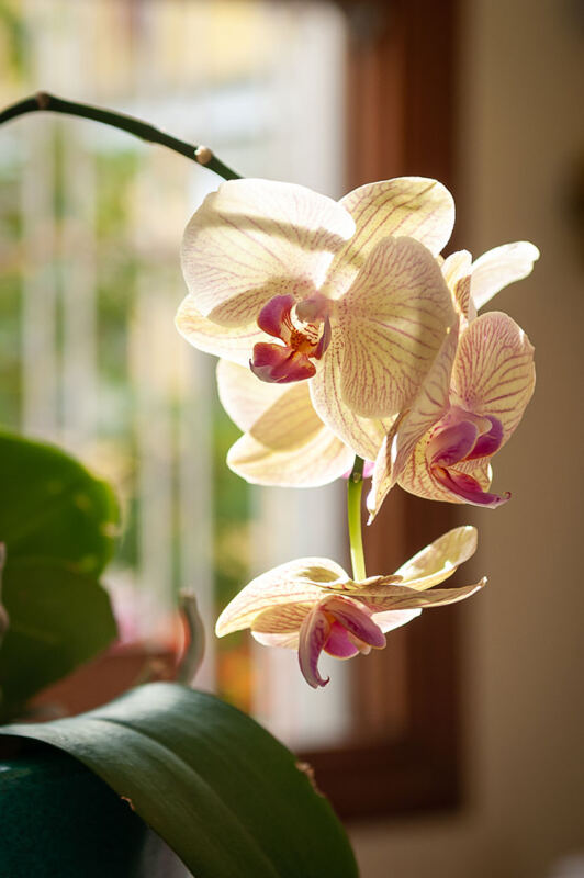 Clinica Portal 810 - Booking-Senior.com