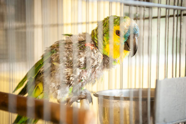 Clinica Portal 811 - Booking-Senior.com