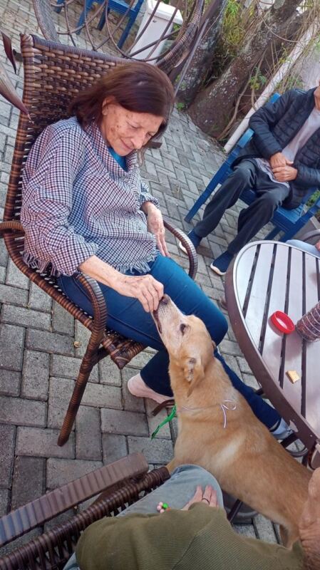 Clinica Portal 82 1 - Booking-Senior.com