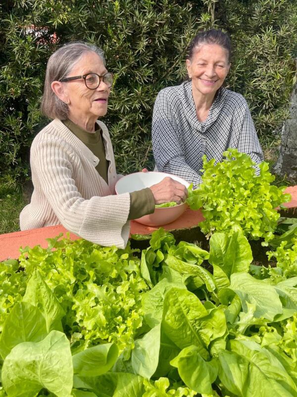 Clinica Portal 820 1 - Booking-Senior.com