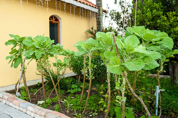 Clinica Portal 8 Horta