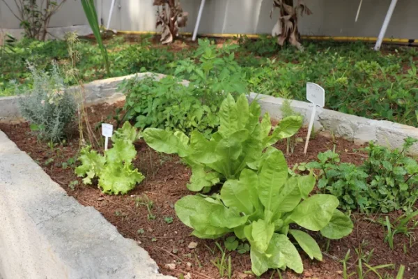 RECANTO DAS FLORES JABAQUARA I 14 - Booking-Senior.com