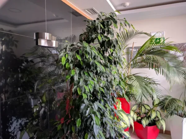 IRS Iria Residencia Senior13 - Booking-Senior.com