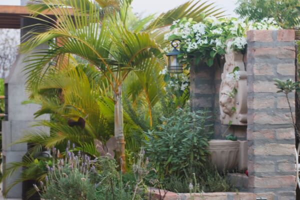 AGERIP Associacao Geronto Geriatrica de Sao Jose do Rio Preto39 - Booking-Senior.com