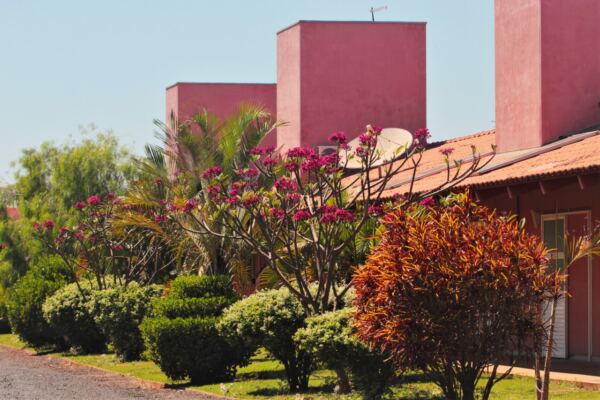 AGERIP Associacao Geronto Geriatrica de Sao Jose do Rio Preto41 - Booking-Senior.com