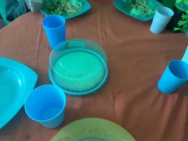 Casa De Repouso Serenidade Jardim Independencia12 - Booking-Senior.com