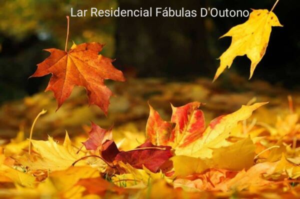 Fabulas DOutono7 - Booking-Senior.com