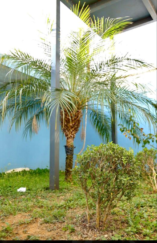 Florenza Senior Santo Andre SP Grupo FLORENZA12 - Booking-Senior.com