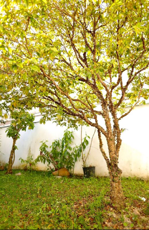 Florenza Senior Santo Andre SP Grupo FLORENZA4 - Booking-Senior.com