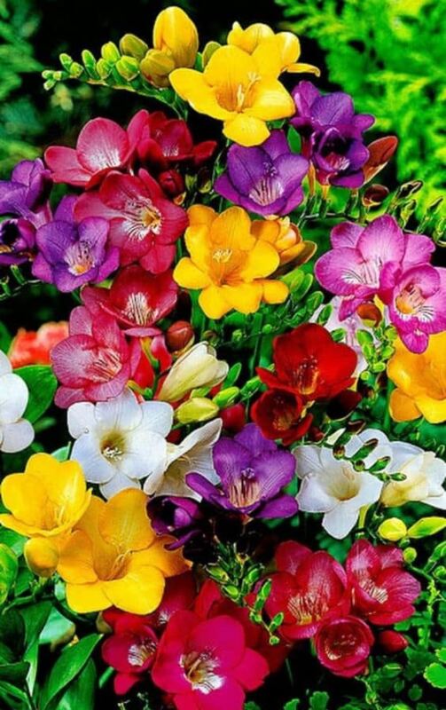 Residencia Senior Vida Plena21 - Booking-Senior.com