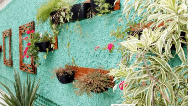 1 2 - Booking-Senior.com