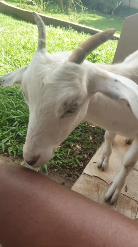 12 1 - Booking-Senior.com