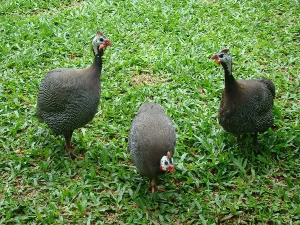 13 1 - Booking-Senior.com