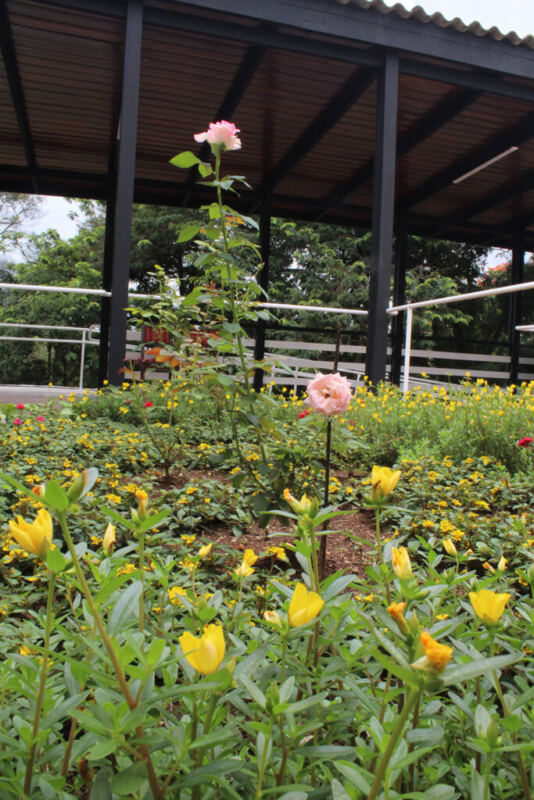 16 2 - Booking-Senior.com