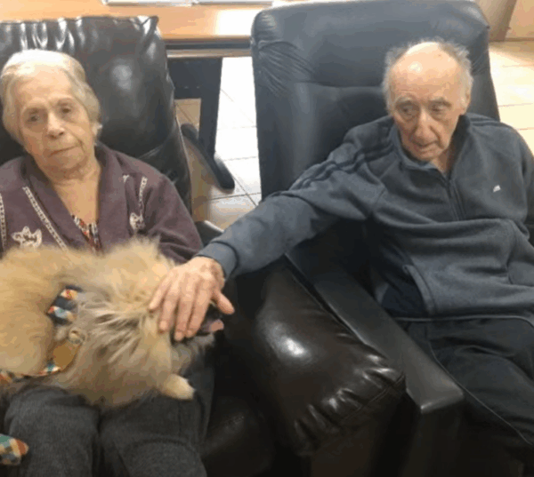 2 4 - Booking-Senior.com