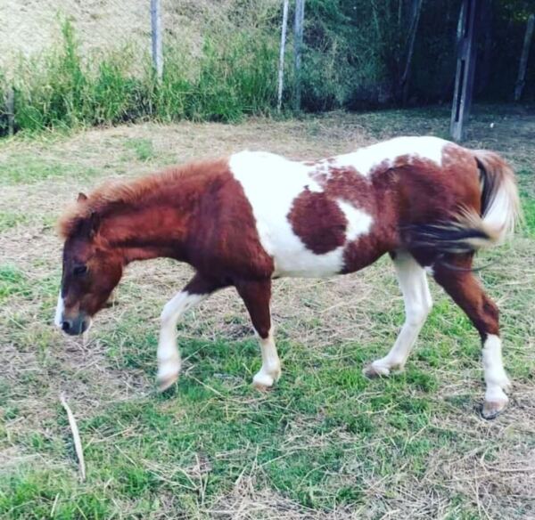 25 2 - Booking-Senior.com