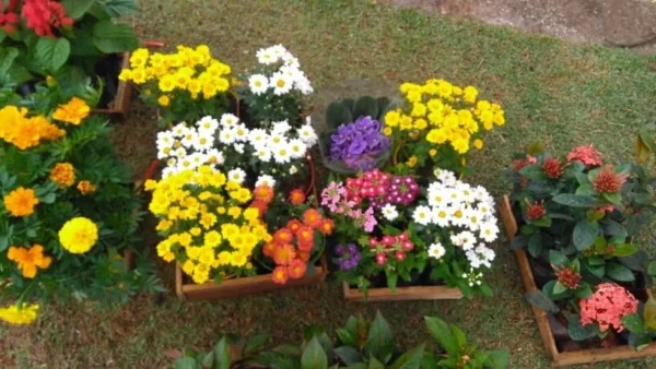 6 5 - Booking-Senior.com