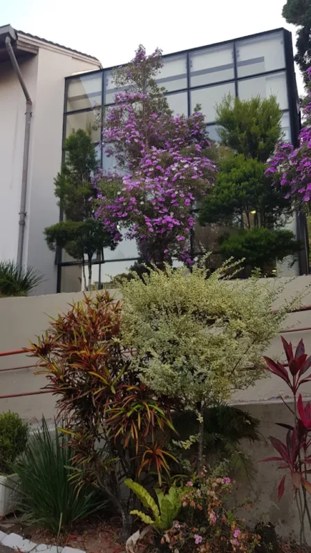 8 2 - Booking-Senior.com