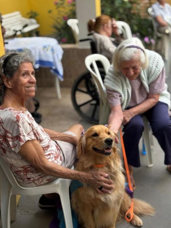 Atividades 6 1 - Booking-Senior.com