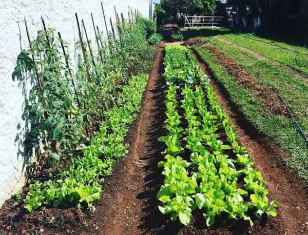 Casa de Repouso Nossa Senhora de Fatima Jundai SP7 - Booking-Senior.com