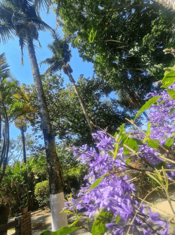 Infra 6 - Booking-Senior.com