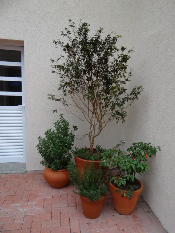 Villagio Pacaembu Grupo EM FAMILIA26 - Booking-Senior.com