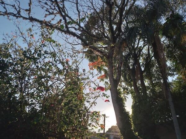 WhatsApp Image 2025 11 07 at 15.04.29 8 - Booking-Senior.com