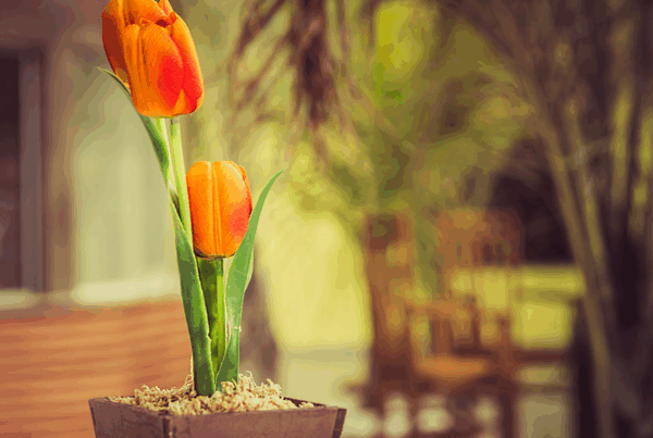 8 - Booking-Senior.com