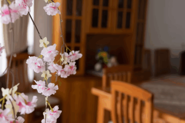 Captura de ecra 2025 11 05 222505 - Booking-Senior.com